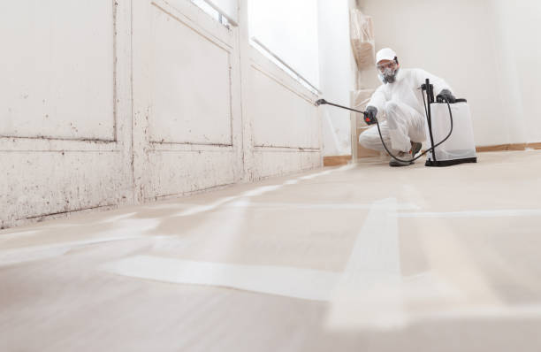 24/7 Emergency Attic Mold Remediation experts in Alexandria, VA